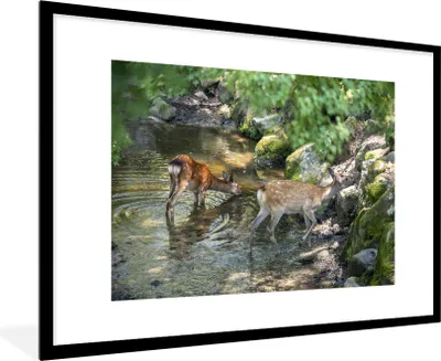 Produktbild von MuchoWow® MuchoWow® Gerahmtes Poster Hirsche - Steine - Moos - Wasser 90x60 cm - Poster mit zchwarzem Bilderrahmen - Wanddekoration - Fotos