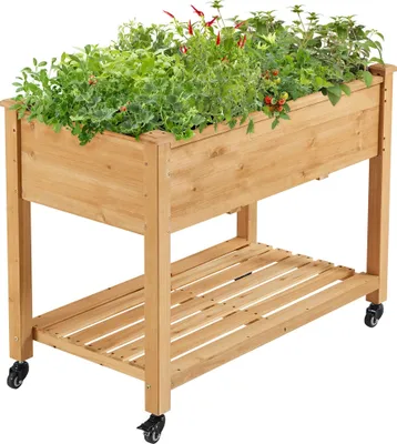 A wooden raised garden bed filled with plants, shown on a white background.