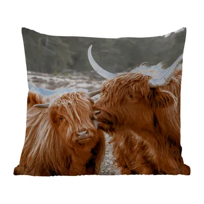 Obrázek produktu pro MuchoWow® Vnější polštář - Skotský horal - Kráva - Zvířata -50x50 cm- Odolnost proti povětrnostním vlivům - polštář do obývacího pokoje