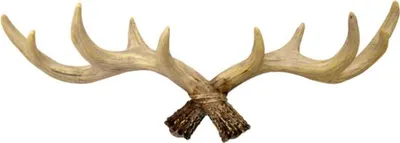 Produktbild von Garderobenleiste mit Hirschgeweih, Vintage-Stil, Wandmontage, Kleiderbügel.