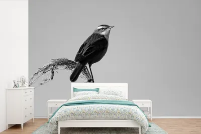 Produktbild von MuchoWow® Fototapete für Wohnzimmer oder Schlafzimmer Wandtapete Vinyl Motivtapete Ein Seggenrohrsänger blickt auf die Landschaft - schwarz-weiß - 525x350 cm - Das Hintergrundbild
