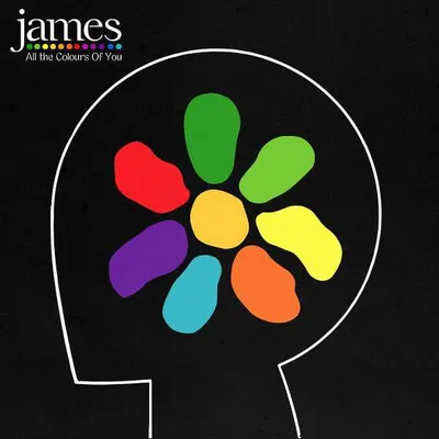 Immagine prodotto di James - Tutti i colori di te Vinyl