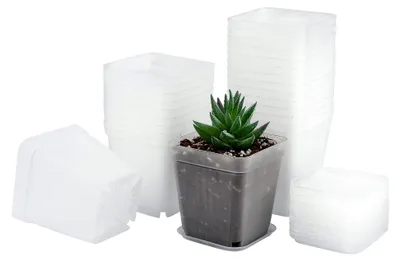 Produktbild von 24 Stück 7 cm Anzuchttöpfe mit Untersetzer, transparente quadratische Pflanztöpfe für Samen und Sukkulenten