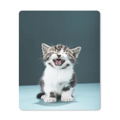Produktbild von MuchoWow® Mauspad Mousepad Katze - Kätzchen - Miau 40x60 cm - Mousepads - Maus Mat - Pad - Mausunterlage - Schreibtisch Accesoire