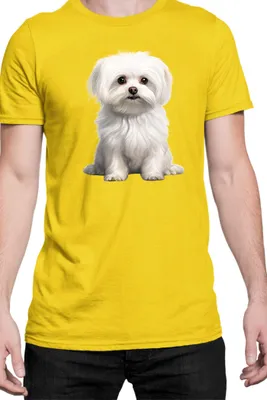 Immagine prodotto di Maglietta da uomo Dogs Breeds Maltese Dog Breed 006, Man S , Jaune