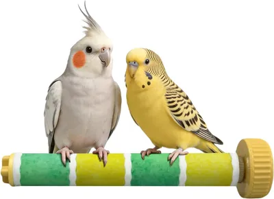 Imagen del producto de Piedra de molienda para aves, de arena, para limar garras y picos, natural, ideal para loros y periquitos