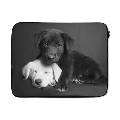 Produktbild von MuchoWow® Laptop Hülle 17 Zoll Laptoptasche Hunde - Welpe - Schwarz - Weiß - Tiere - Zipper - Schutzabdeckung