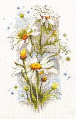 Produktbild von Stickpackung - Weiße Gänseblümchen