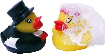 Produktbild von HAAC Ente Badeente Brautpaar Hochzeit Hochzeitspaar
