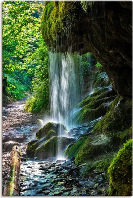 Produktbild von ARTland Leinwandbild Moosbedeckter Wasserfall Größe: 40x60 cm