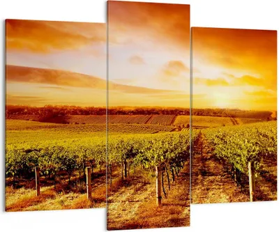 Produktbild von Bild auf Leinwand - Leinwandbild - Weinberg Aussicht Landschaft - 130x100cm - Wand Bild - Wanddeko - Leinwanddruck - Bilder - Kunstdruck - Wanddekoration - Leinwand bilder - Wandkunst - CB130x100-0170