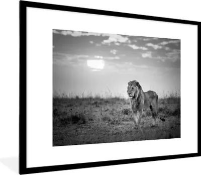 Produktbild von MuchoWow® Gerahmtes Poster Löwe - Sonnenuntergang - Jagd 80x60 cm - Poster mit Schwarzem Bilderrahmen Wandposter Rahmen Foto Bilder - Schlafzimmer-Dekorationen - Fotoposter