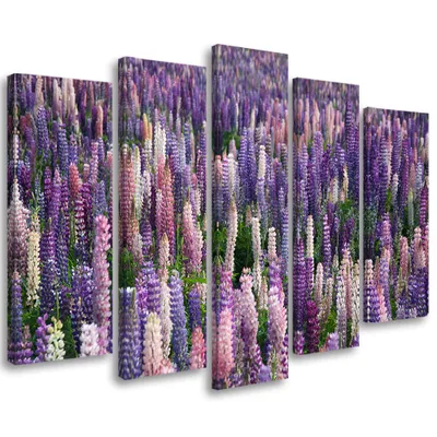 Obrázek produktu pro 5dílné nástěnné plátno fialové květy louka 150x100 cm Feeby fialová nástěnná malba připravená k zavěšení