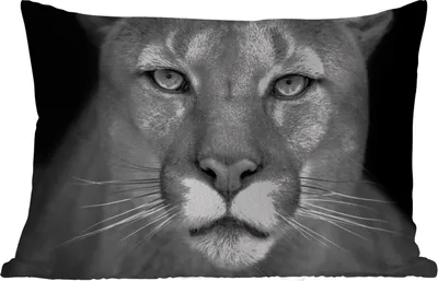 Produktbild von MuchoWow® Outdoor Kissen - Panther - Wildlife - Schwarz - Weiß - 60x40 cm - Wetterfest - Lounge Kissen - Zierkissen - Kissen für Innenräume