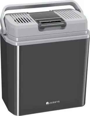 Zdjęcie produktu dla Skrzynka chłodząca 40604, szara, elektryczna skrzynka chłodząca, z praktycznym złączem 12 V i 230 V, 24 l