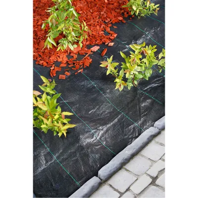 Image de Toile de paillage noire - 1 x 10 m