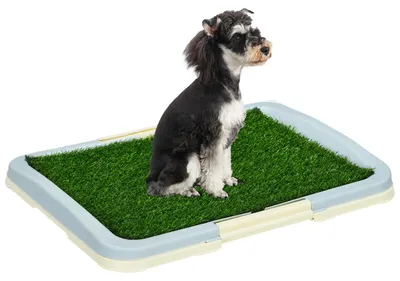 Immagine prodotto di Vasino per cuccioli di cane - Vasino per cani con erba sintetica - 63 x 48,5 cm - Verde