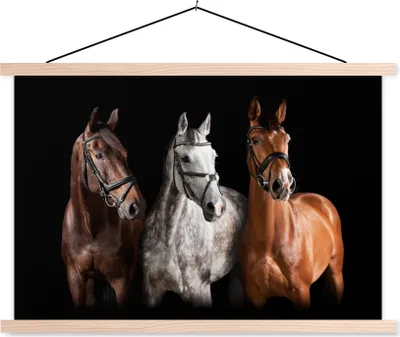 Produktbild von MuchoWow® Textilposter Pferde - Tiere - Schwarz 120x80 cm mit holzfarbenen Rahmen - Aufhängeset