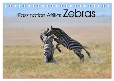 Produktbild von Faszination Afrika: Zebras (Tischkalender 2027 DIN A5 quer), CALVENDO Monatskalender