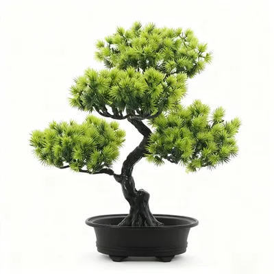 Produktbild von Künstliche Bonsai Pflanze, realistisch, 33 x 27 cm, für Innenräume