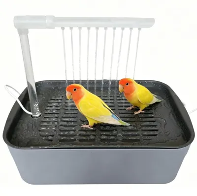 Vogeldusche für Wellensittiche, automatisch, mit Wasserzirkulation, grau