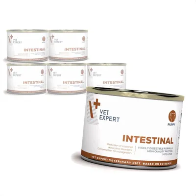 Produktbild von VetExpert Veterinary Diet Intestinal Puppy 6x200g Nassfutter für Welpen mit Verdauungsstörungen