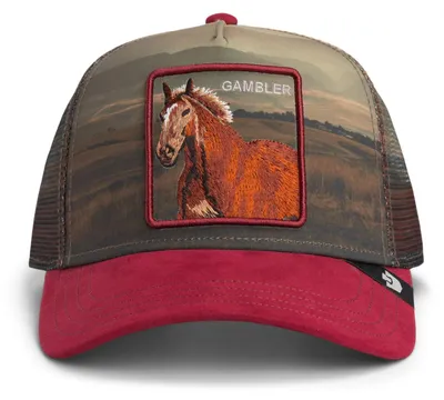 Produktbild von Goorin Bros. Stallion In The Element Trucker Cap CRush