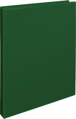 Image de Karton P+P Cataloguebook A4 - D30 vert 5-145