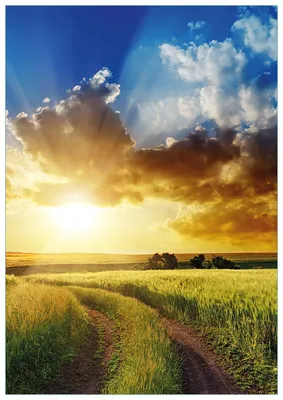 Produktbild von Wallario Premium Glasbild, freischwebende Optik, kräftige Farben, Größe 100 x 70 cm Motiv Feldweg in den Sonnenuntergang