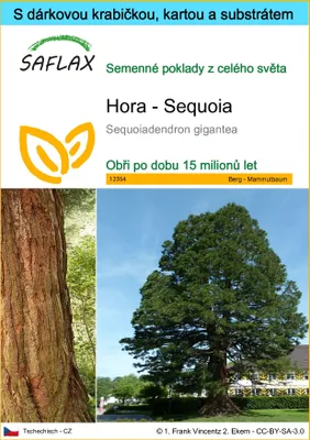 Obrázek produktu pro SAFLAX Dárková sada - Hora - Sequoia - Sequoiadendron gigantea - 50 Semena - S dárkovou krabičkou, přepravním štítkem, dárkovou kartou a pěstebním médiem