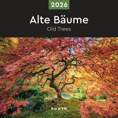 Produktbild von Alte Bäume - KUNTH Broschurkalender 2026