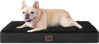 Image de Lit orthopédique pour chien 76 x 51 x 9 cm, lavable, moelleux, noir, pour petits chiens