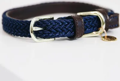 Produktbild von Kentucky Dogwear Hundehalsband Geflochten Nylon Navy XS