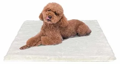 Produktbild von Kleines Hundebett 61x45cm, Waschbar, Antirutsch, Beige