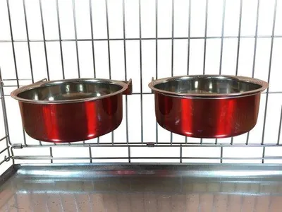 Immagine prodotto di Cinghie di trasporto per cani per furgoni, gabbie per cani, gabbie e trasportini, 1 set