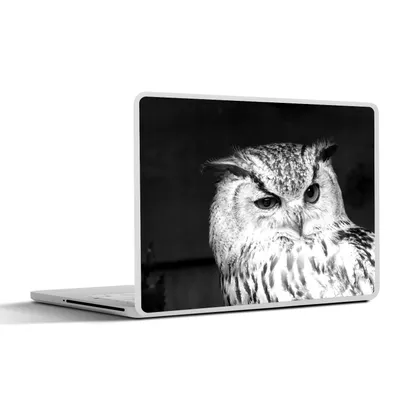 Produktbild von MuchoWow® Laptop Aufkleber Sticker Cover Braune Eule nickt - schwarz und weiß 25x18 cm - Laptop-Deko