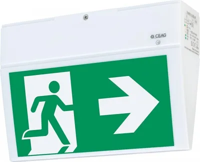 Produktbild von Dreifke® CEAG Sicherheitsleuchte EURO X LED AT, f.Wand- und Deckenaufbau, wei...