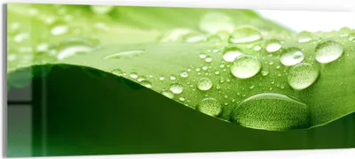 Produktbild von DEQORI Glasbild Echtglas 125x50 cm 'Tropfenfrische' Wandbild Bild modern Deko