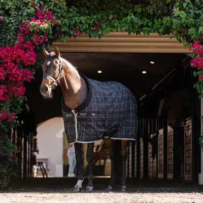 Immagine prodotto di Coperta da stalla Horseware, taglia 90 - Modello Rhino Pony, 100 grammi