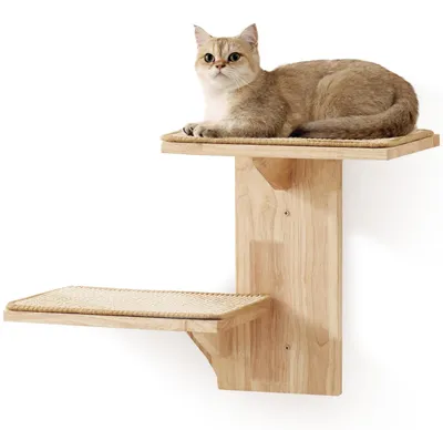 Produktbild von Katzenwandregale - 2 Plattformen aus Gummiholz für Klettervergnügen in Baumform