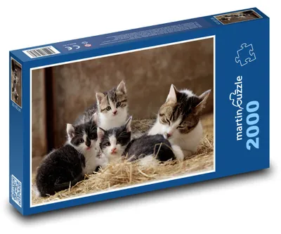 Obrázek produktu pro Puzzle 2000 Koťata na seně - martinpuzzle