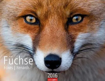 Produktbild von Füchse 2016