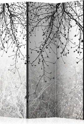 Produktbild von Neuheit! Dekorativer Paravent Raumteiler Trennwand Foto-Paravent Spanische Wand XXL ZWEIGE NATUR BETON OPTIK 135x172 cm b-C-0953-z-b