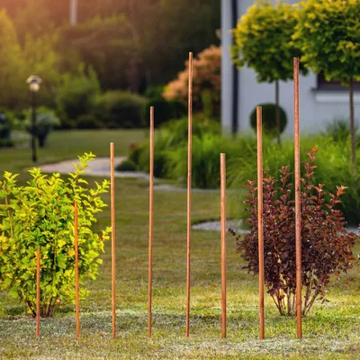 Obrázek produktu pro Podpěra pro rostliny, vyrobená z dřeva, výška 150 cm, vhodná pro rostliny rajčat, podporuje zdravý růst, ideální pro použití venku