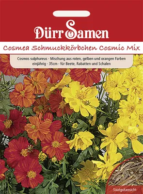 Produktbild von Dürr-Samen - Cosmea Cosmic Mix gelb rote orange Töne einjährig 35 cm - Saatgut - 0984