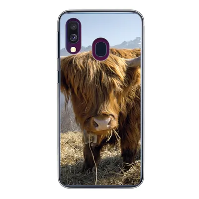 Produktbild von MuchoWow® Handyhülle Schutzhülle Hülle für Samsung Galaxy A40 Schottischer Highlander - Berg - Schnee Silikon Softcase Handy Hülle - Handy-Tasche