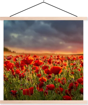 Produktbild von MuchoWow® Textilposter Sonnenuntergang - Mohnblumen - Rot - Blumen - Feld - Natur 40x40 cm mit holzfarbenen Rahmen - Posterleiste