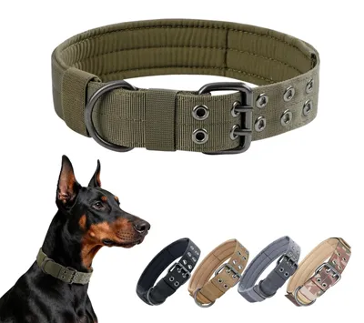 Produktbild von Verstellbares Hundehalsband aus strapazierfähigem Nylon für mittelgroße und große Hunde