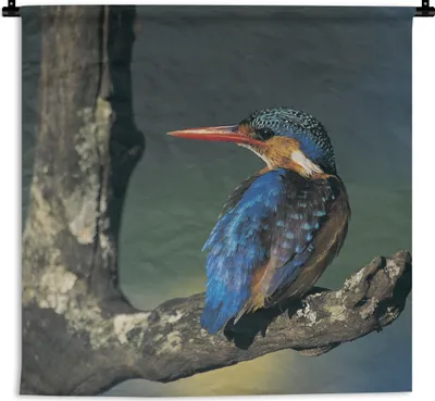 Produktbild von MuchoWow® Wandteppich Wandbehang Eisvogel - Tier - Farbenfroh 120x120 cm Tapisserie Dekoration Wandtuch - Modern - Baumwollgewebe
