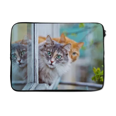 Produktbild von MuchoWow® Laptop Hülle 13 Zoll Katze - Fenster - Katzen Laptoptasche - Laptophülle - Sleeve - Rundumschutz
